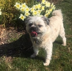 Meet your Posher, Susan